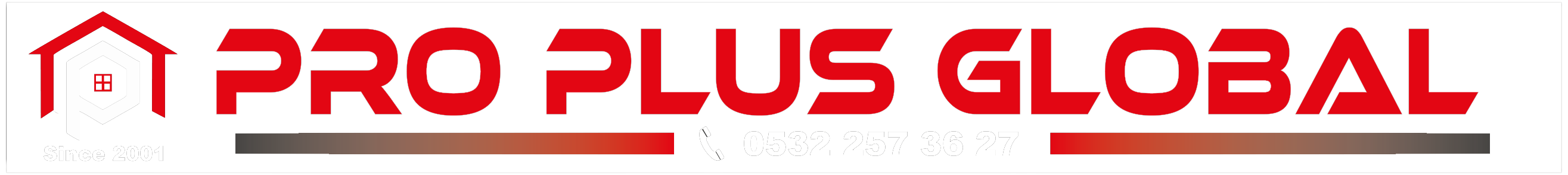 Pro Plus Global